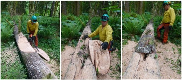 Making a habitat log